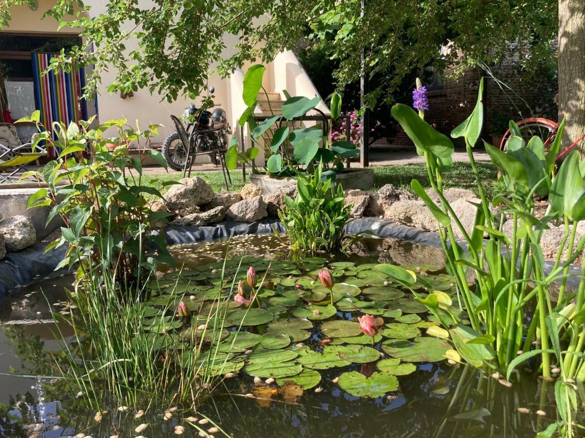 Casa Del Geco Bed & Breakfast Paestum Bagian luar foto