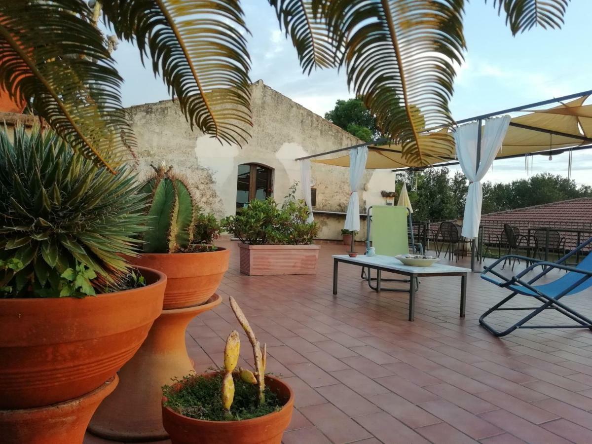Casa Del Geco Bed & Breakfast Paestum Bagian luar foto